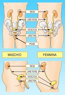 Bruciore vaginale...hai mica detto cistite?