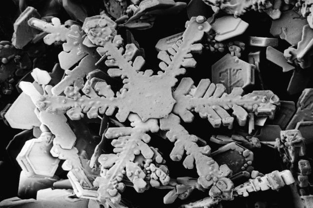 La neve ha davvero sapore?