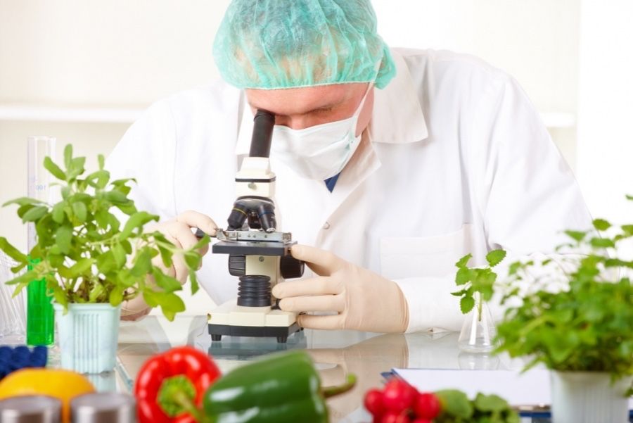 Analisi microbiologiche in ambito alimentare