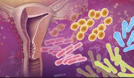 Microbiota vaginale: la fabbrica del benessere femminile