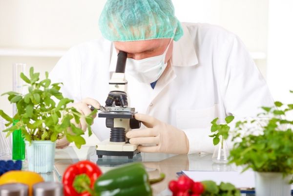 Analisi microbiologiche in ambito alimentare
