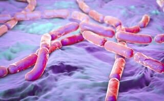 Tossinfezione da Bacillus cereus