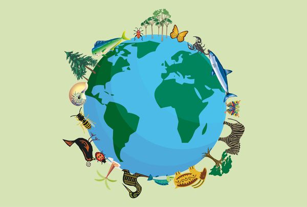Biodiversità animale: patrimonio da valorizzare
