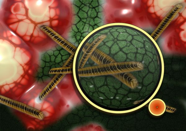 Analisi microbiologiche e sepsi