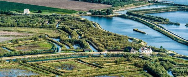 Acquacoltura estensiva: la vallicoltura