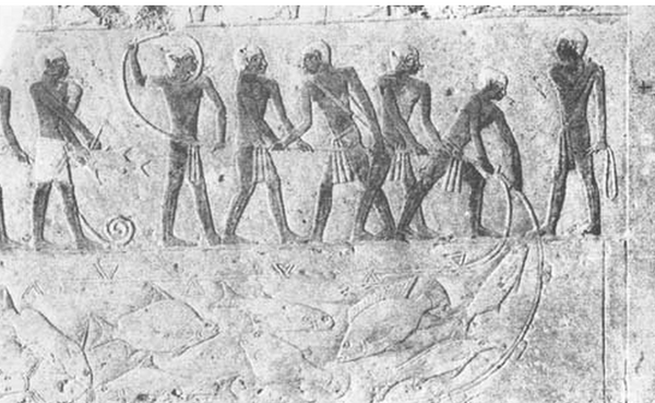 Acquacoltura: dalle origini ad oggi