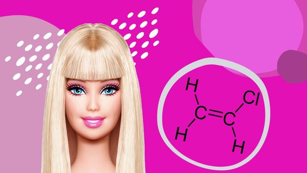 Barbie sotto esame: Tra PVC e plastificanti
